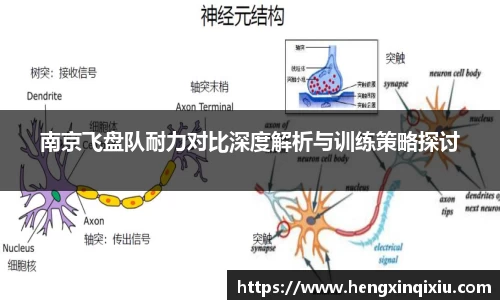 米乐YY易游